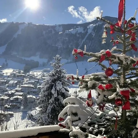 In Wildschoenau-niederau With 2 Bedrooms Ferienhaus