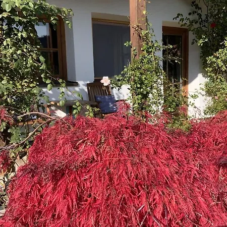 In Wildschoenau-niederau With 2 Bedrooms *