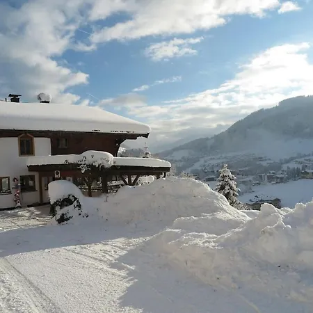 In Wildschoenau-niederau With 2 Bedrooms Сasa de vacaciones *