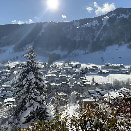 In Wildschoenau-niederau With 2 Bedrooms Сasa de vacaciones Grafenweg